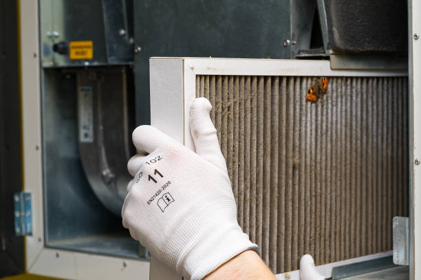 Best Ventilation Cleaning Services  in Romulus, MI