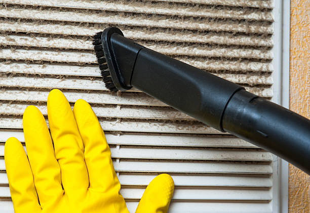 Best HVAC Air Duct Cleaning  in Romulus, MI